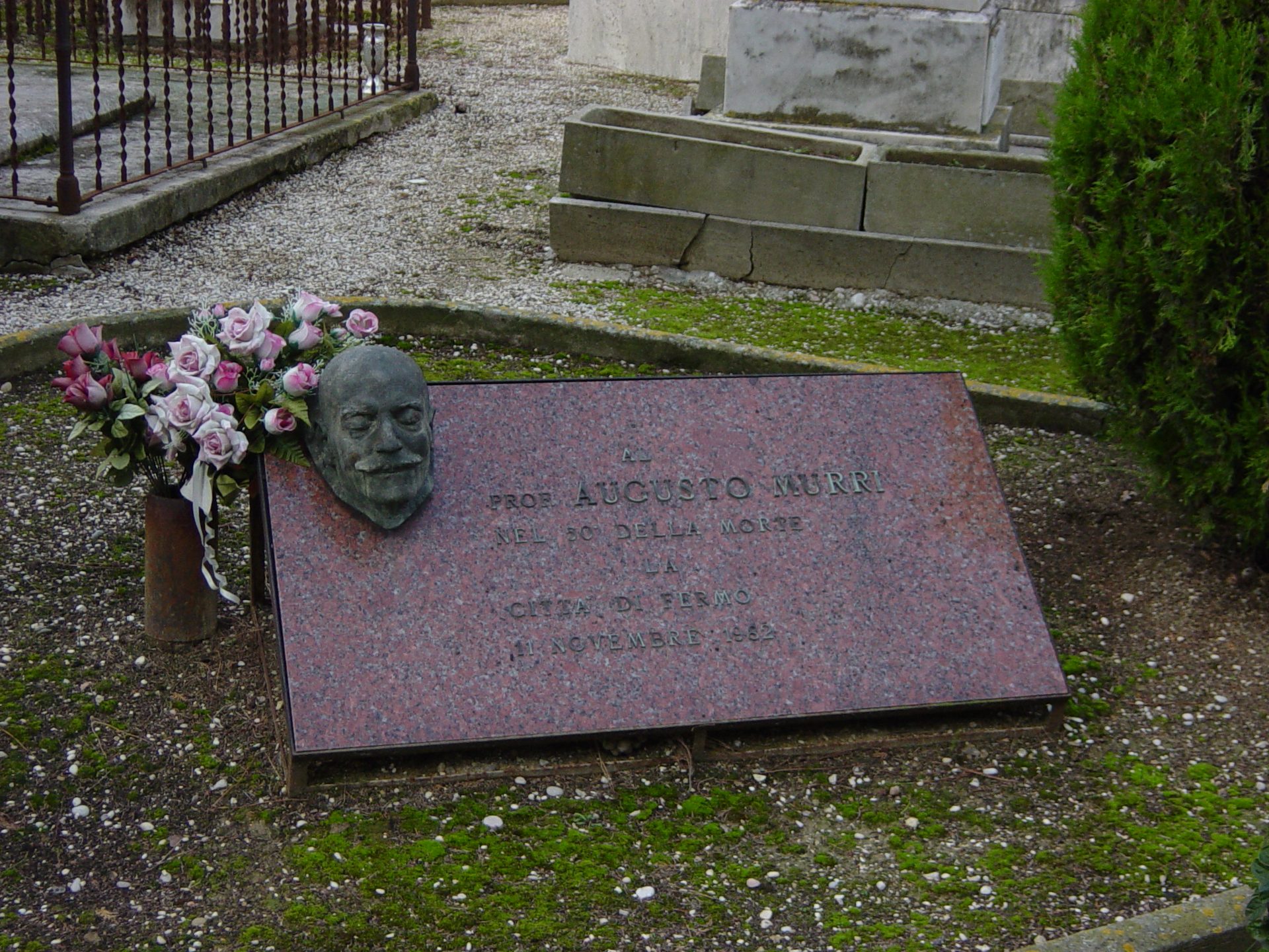 In memory of Augusto Murri.JPG